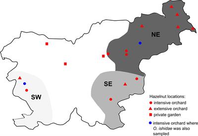 Epidemiology of flavescence dorée and hazelnut decline in Slovenia: geographical distribution and genetic diversity of the associated 16SrV phytoplasmas